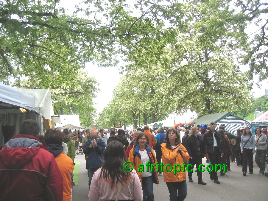 ../Images/afw2006c 026.jpg